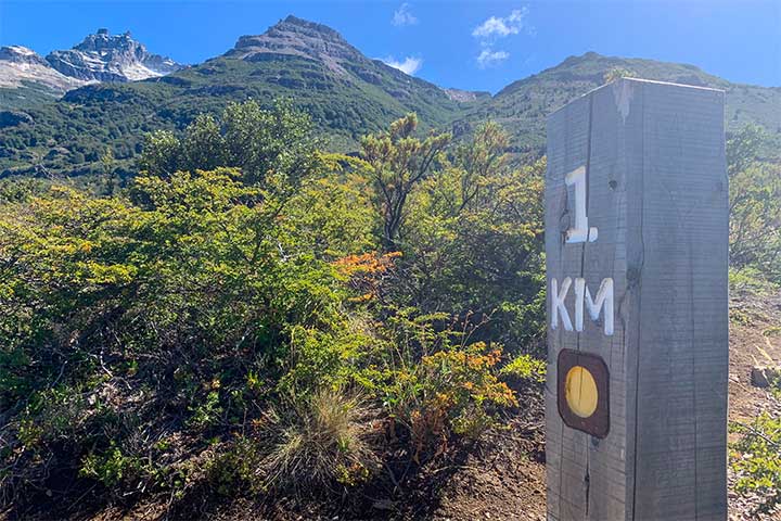 Vegetación autoctona